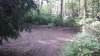 20210829_100757.jpg