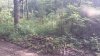 20210829_100615.jpg