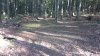20210902_083754.jpg