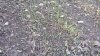 20210902_084337.jpg