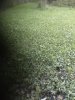 20210904_072950.jpg