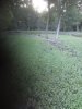 20210904_072320.jpg
