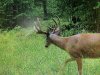 6F094F8C-7613-4978-A464-EE84475EFA20.jpeg