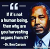 organs.png