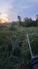 20210915_064303.jpeg