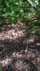 20210915_142941.jpg