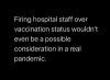 real pandemic.png