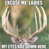 buck.jpg