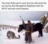 cool.jpg