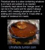 stew.jpg