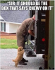 chewy.png