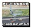 FB_IMG_1632937140166.jpeg