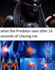 predator.jpg