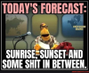 forecast.png