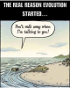 evolution.png