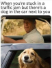 lil buddy.png