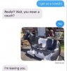 cowch.jpg