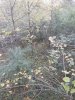 20211014_170656.jpg