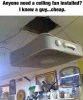 image(8).jpeg