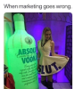 absolut.png