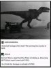 FB_IMG_1634077691316.jpeg