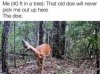 FB_IMG_1634215892245.jpeg