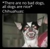 no bad dogs.jpg