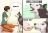 trained.png