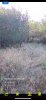 image0(3).jpeg
