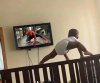 spider baby.jpg