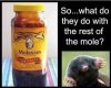 mole asses.jpg