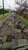 road repair.jpg