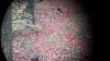 20211030_084526.jpg