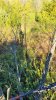 20211030_090340.jpeg