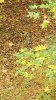 20211030_115234.jpeg