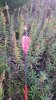 20211030_182619.jpeg
