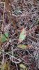 20211030_182334.jpeg