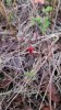 20211030_182327.jpeg