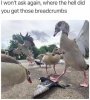 FB_IMG_1634977455915.jpeg
