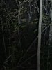 0D6F9CB8-3FFA-4958-9977-1DF909236A29.jpeg