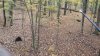 20211101_075029.jpg