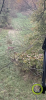 1FE50512-30E4-4EED-994A-F724469A59EA.png
