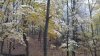20211103_075118.jpg