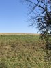 IMG_2346.jpg