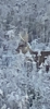 A7584BF3-F5D3-4F29-A836-14624AF41814.png