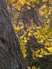 59847770-C5E8-4C8D-8200-F2781DE966B6.jpeg
