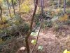 20211104_135756.jpg