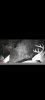 Screenshot_20211104-141523_USB Photo Viewer.jpg