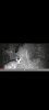 Screenshot_20211104-141413_USB Photo Viewer.jpg
