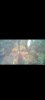 Screenshot_20211104-143625_USB Photo Viewer.jpg